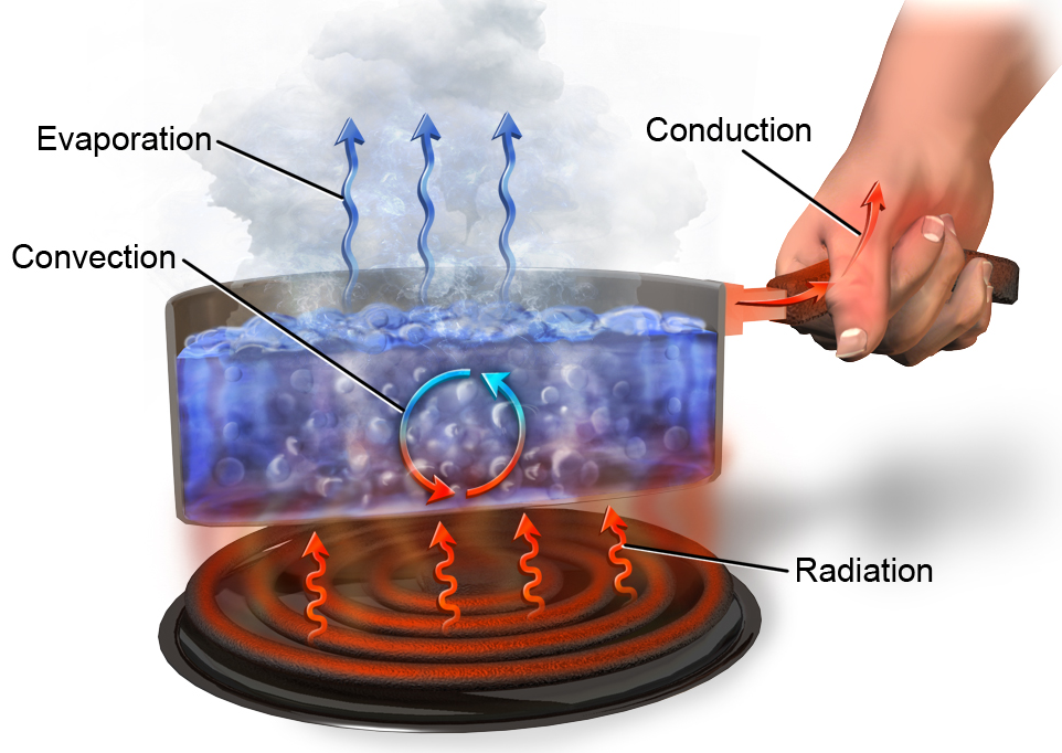 A graphic showing radiation from a stove to a pan, a cut through of convection within the liquid in the pan, evaporation of the liquid and conduction between the handle of the pan to a han